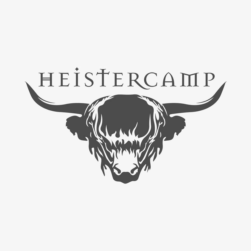 bare knuckle pickups heistercamp